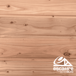 Clin Douglas ELEGIE - choix AB - I 21 x 132 mm - 4,00 ml - Non Traité